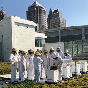 More Info for TCF Center's Honeybees: Life Is Sweet!