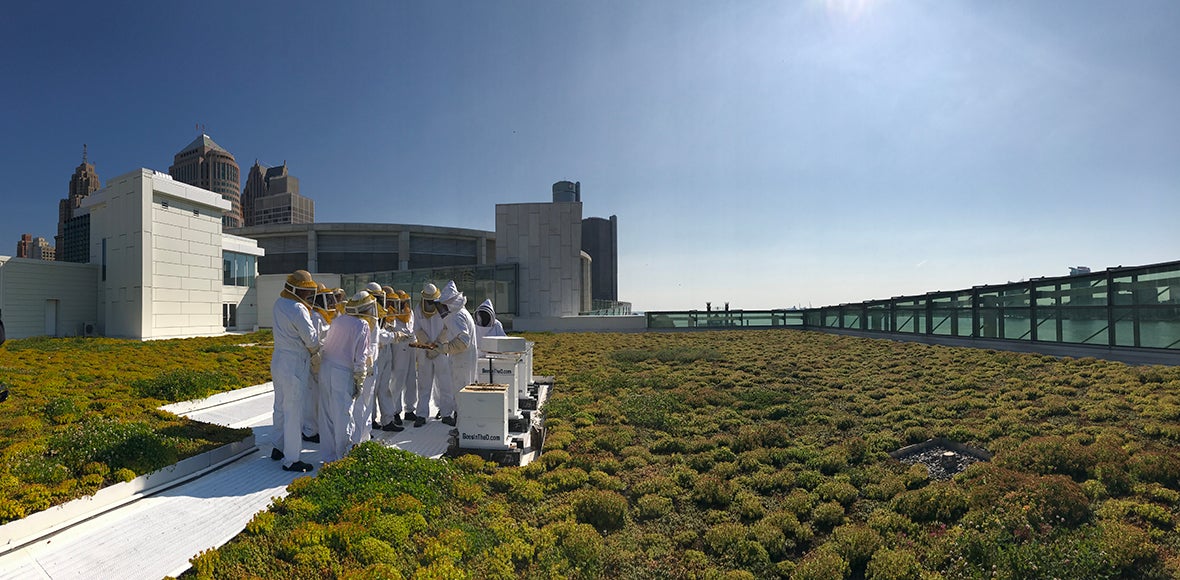 green roof beekeepers.jpg